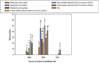 Investigating Verticillium wilt occurrence in cotton and its risk management by the direct return of cotton plants infected with Verticillium dahliae to the field
